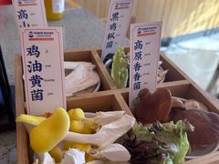 -阿婆情腊排骨火锅(金虹路店)