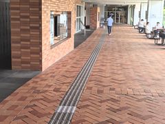 -香港大学