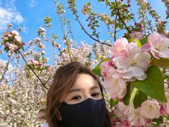 -元大都城垣遗址公园