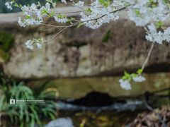 -中国茶叶博物馆(双峰馆区)