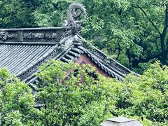 -韬光茶庵