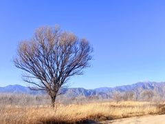 -怀来官厅水库
