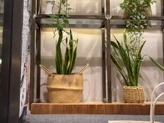 -Q MEX 库迈墨西哥餐吧(双井店)