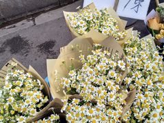 -循礼门鲜花花市(武汉循礼门店)