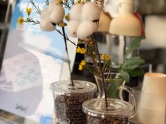 -Seesaw Coffee(朝阳大悦城店)