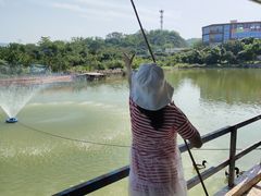 -荔枝红五号农庄