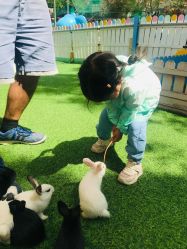 -萌宠亲子动物乐园(槐房万达店)