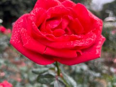 -人民公园(罗湖区)