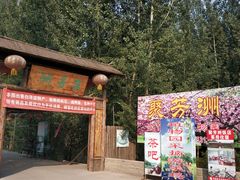-白洋淀景区