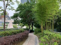 -北外滩滨江绿地