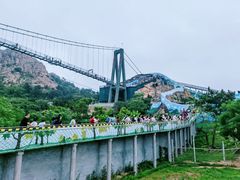 -西霞口神雕山野生动物世界