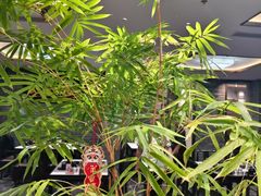 -鸢飞潍坊菜馆(鸢飞大酒店)