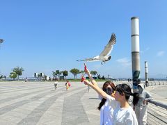 -东港音乐喷泉广场