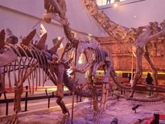 -伯爵·沉浸式超级密室·直营店