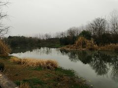 -白鹭湾湿地公园