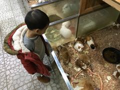-上海大自然野生昆虫馆
