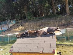 -杭州开元森泊度假乐园