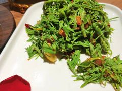 -雀舞云南菜(乐客城店)