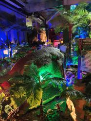 -恐龙探索乐园(磁器口店)