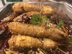 -簋街仔仔小龙虾(簋街二店)