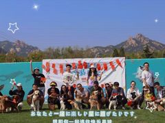 -趣玩宠物乐园寄养训犬训狗游泳池