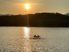 -佛手湖郊野公园