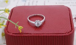 DSC_7418-威德钻石-克拉钻大本营(南京东路店)