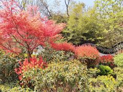 -贮水山儿童公园