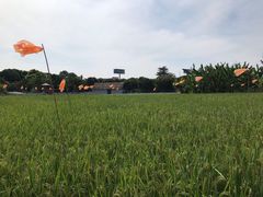 -新地休闲农场