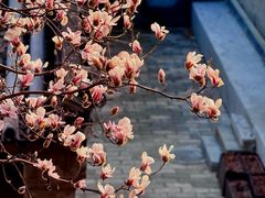 -北京颐和宾馆
