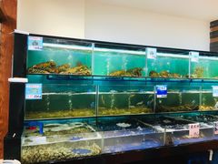 -南海渔家•海鲜•正宗海南菜(海棠湾店)