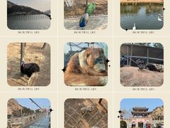 -西霞口神雕山野生动物世界