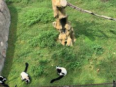 -大连森林动物园