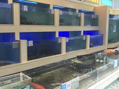 水产区-宜宾海鲜酒家·三十年老字号