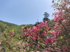 -木兰云雾山