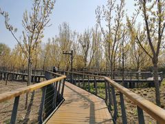 -东郊湿地公园