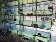 -海之鲜大排档(东山海鲜金銮湾店)