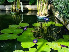 -国家植物园南园