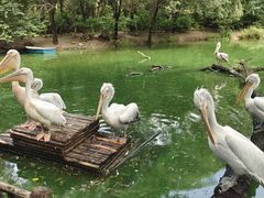 -济南野生动物世界