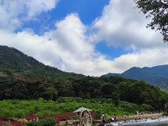 -广州市石门国家森林公园