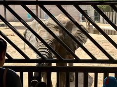 -鄂尔多斯野生动物园