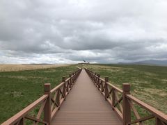 -郭莽湿地