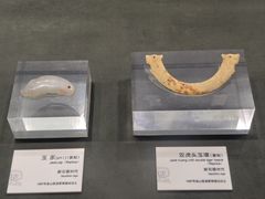 -马鞍山市博物馆