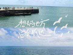 -硇洲岛旅游区
