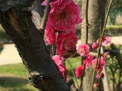 门面-呼吸森林·生态农庄农家乐私房菜