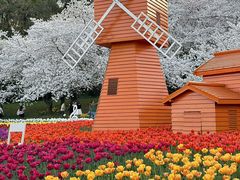 -苏州上方山国家森林公园