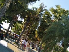 -芭堤雅发现海滩酒店