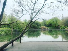 -木守西溪溪隐餐厅