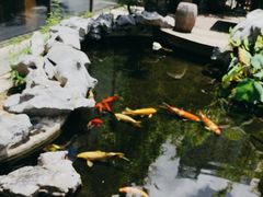 -道南書院·私房菜·早午茶·茶馆