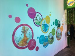 -恐龙探索乐园(磁器口店)